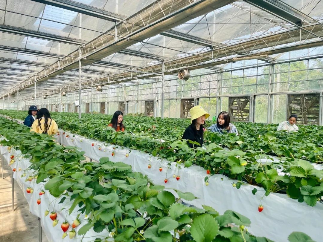 【婦女節(jié)】走進(jìn)自然，遇見(jiàn)“莓”好